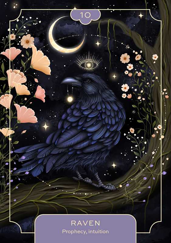 Animal Spirit Oracle by Lea Androic